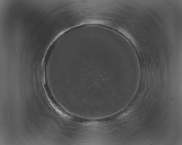 X0000084051127200702232344