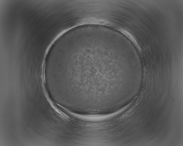 X0000084051128200702232344