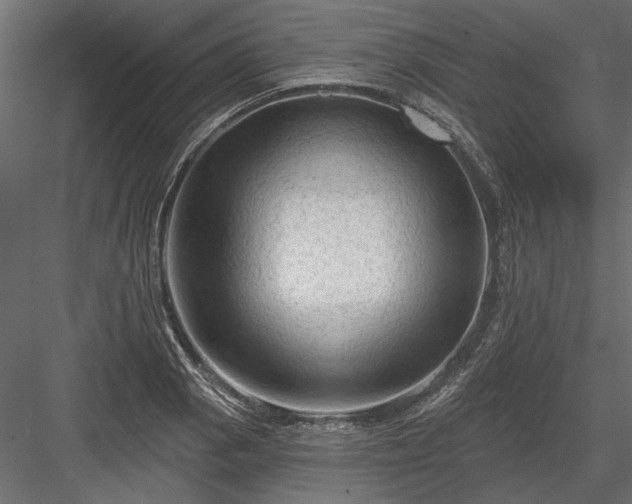 X0000084051129200702232344