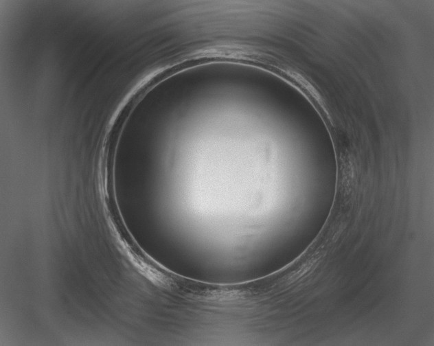 X0000084051131200702232344