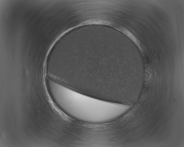 X0000084051132200702232344