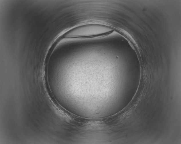 X0000084051133200702232344