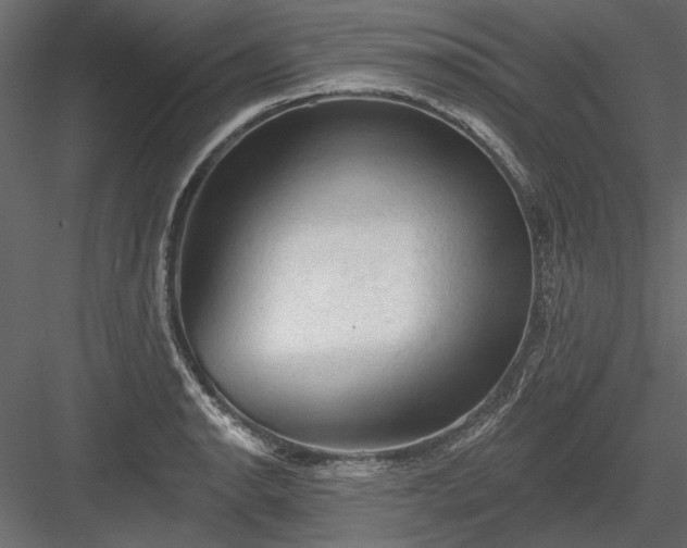 X0000084051134200702232344