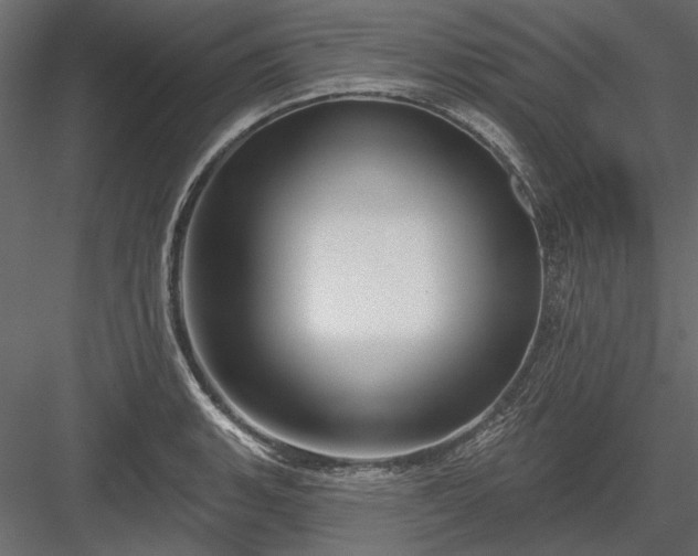 X0000084051135200702232344