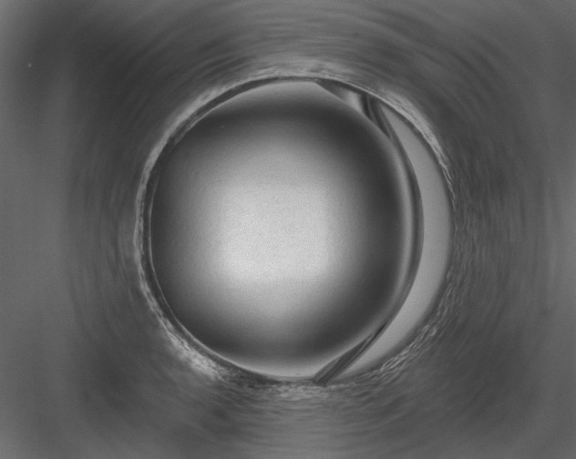 X0000084051136200702232344