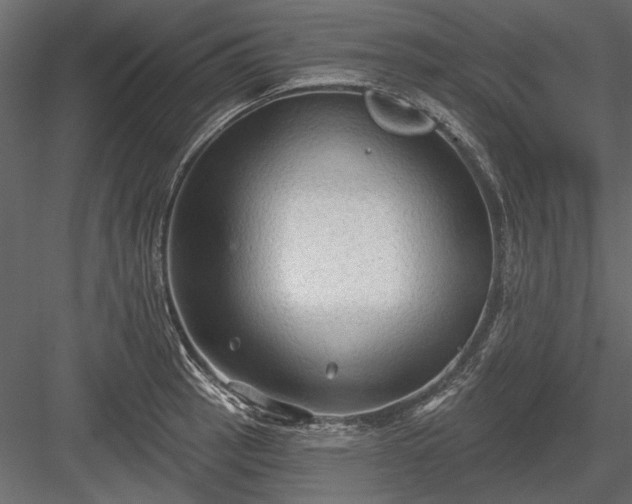 X0000084051137200702232344