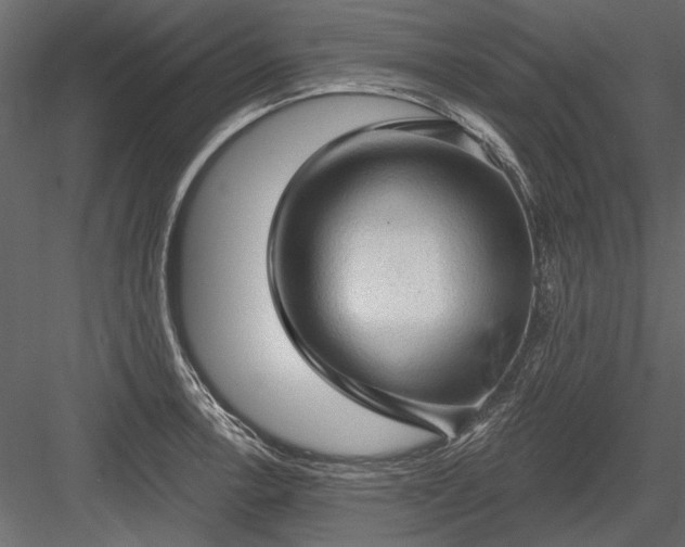 X0000084051138200702232344