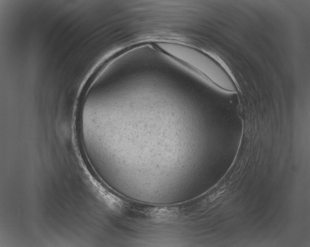 X0000084051139200702232344