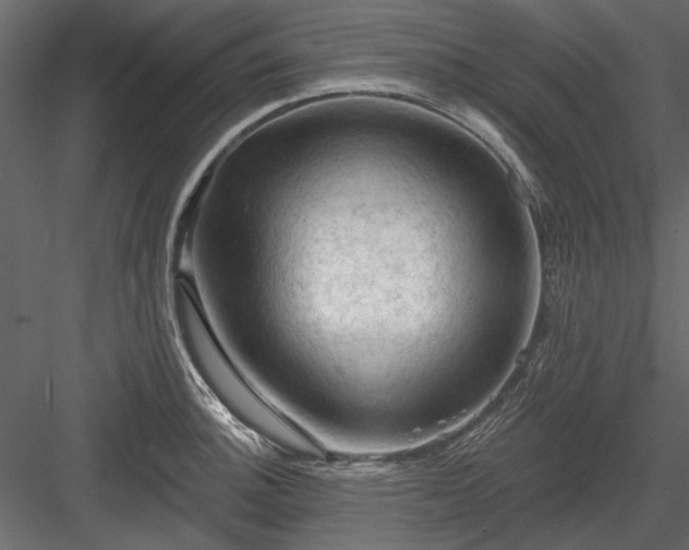 X0000084051140200702232344