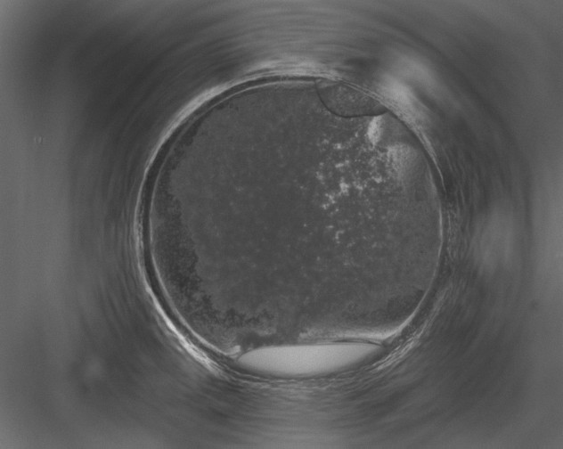 X0000084051141200702232344