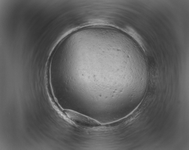 X0000084051142200702232344