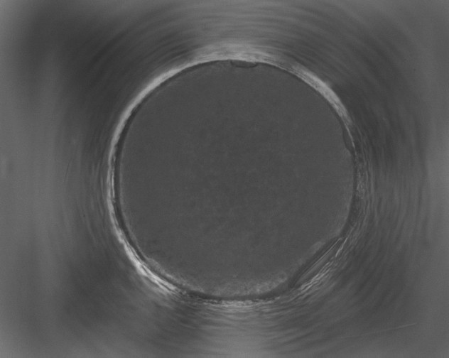 X0000084051144200702232344