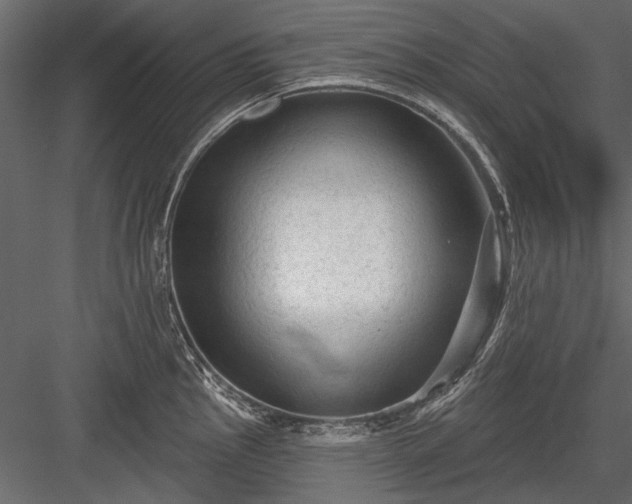 X0000084051145200702232344