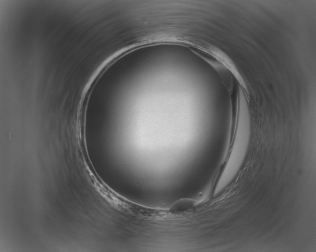 X0000084051148200702232344