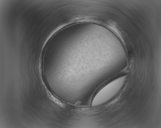 X0000084051149200702232344