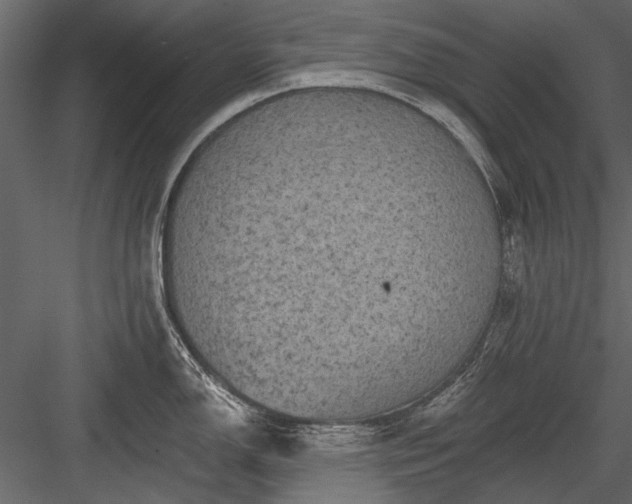 X0000084051150200702232345