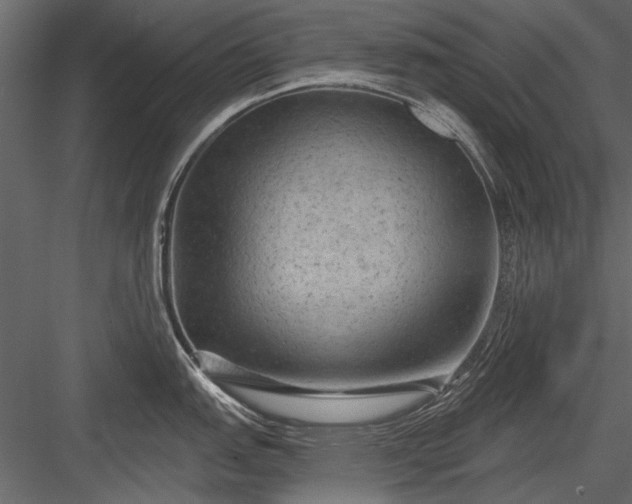 X0000084051151200702232345