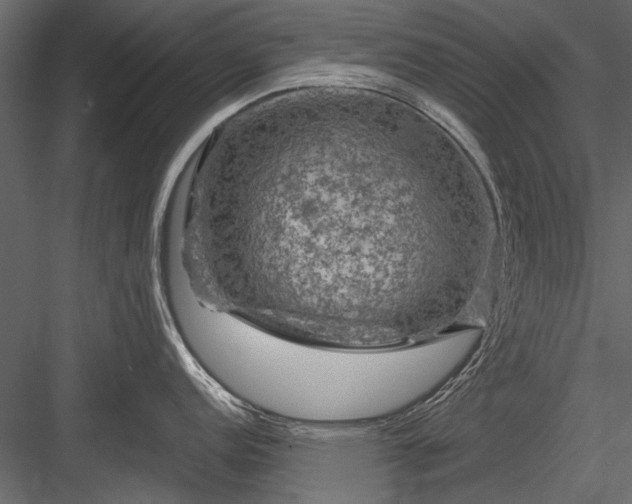 X0000084051152200702232345