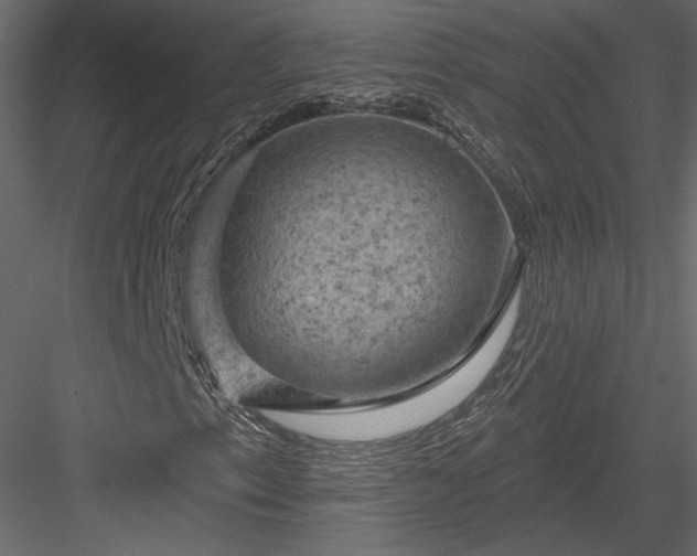 X0000084051153200702232344