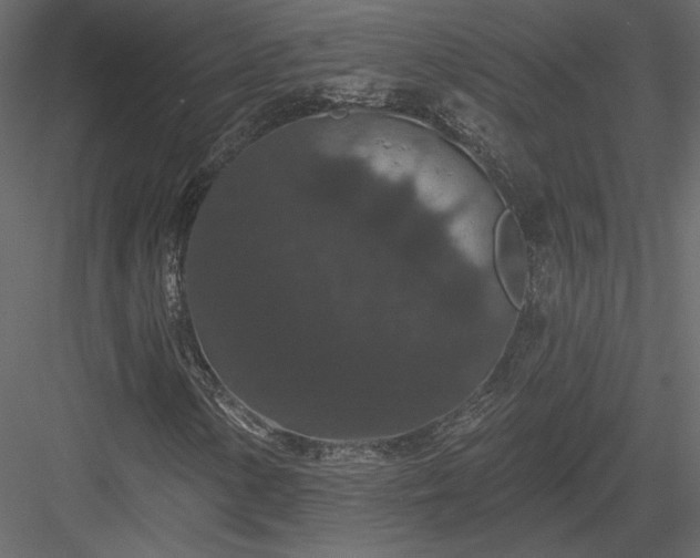 X0000084051154200702232344