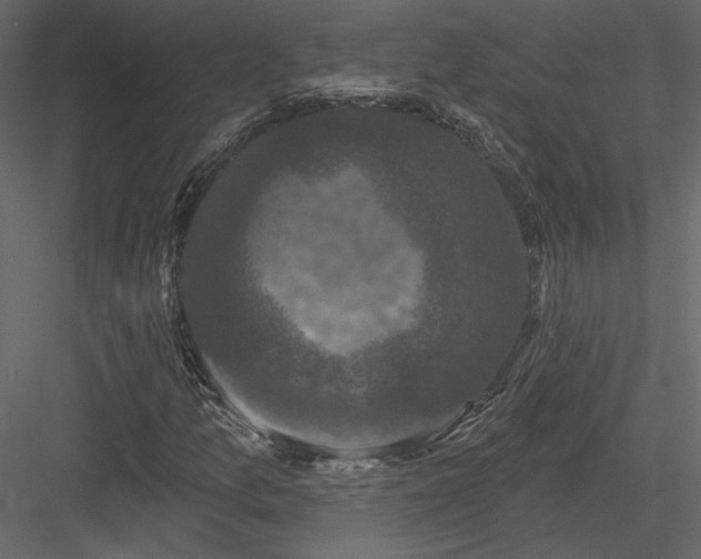 X0000084051157200702232344