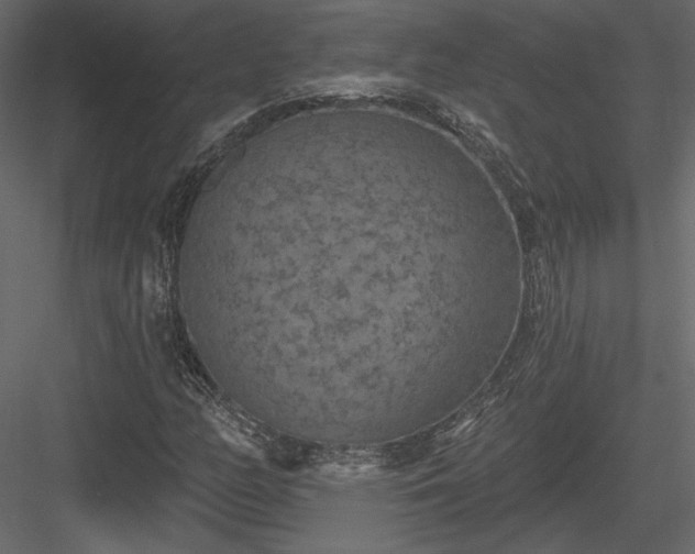 X0000084051158200702232344