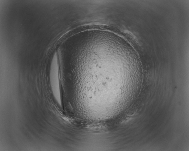 X0000084051159200702232344