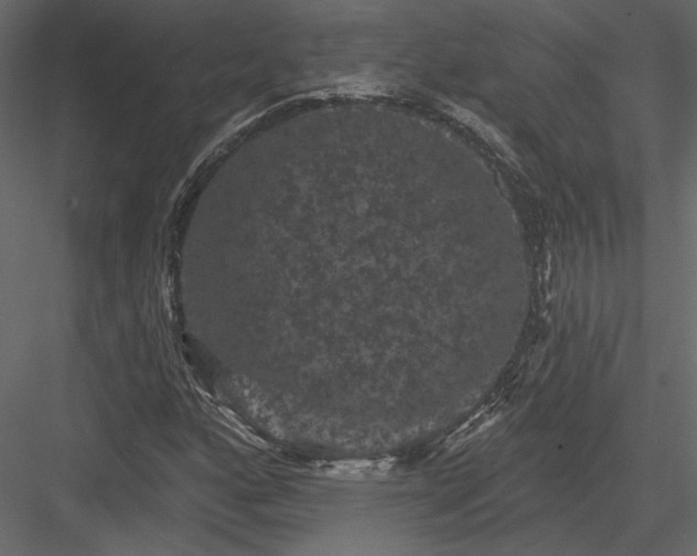 X0000084051160200702232344