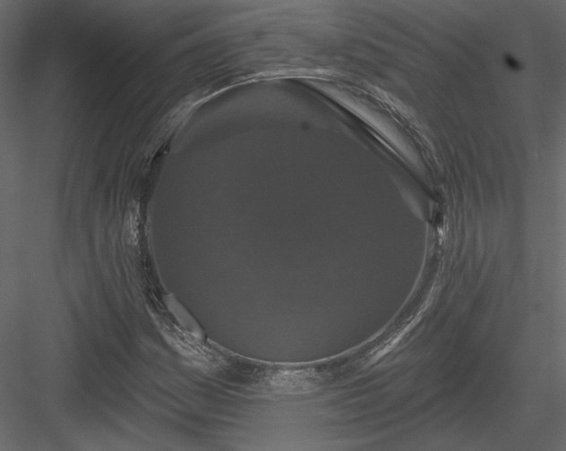 X0000084051161200702232344