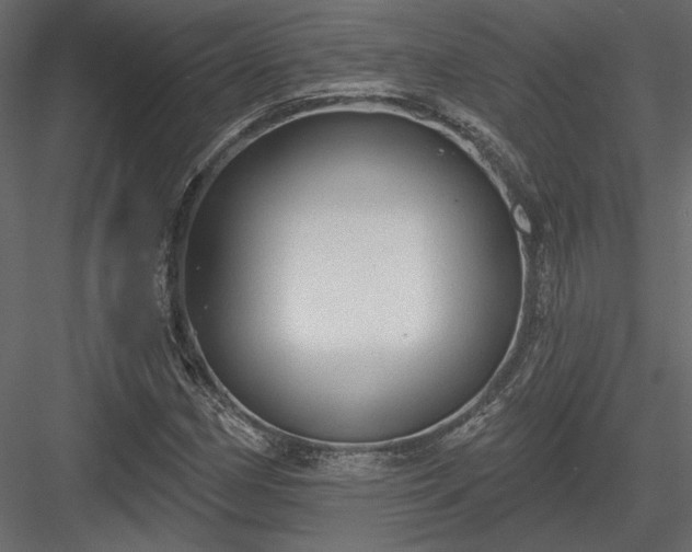 X0000084051162200702232344