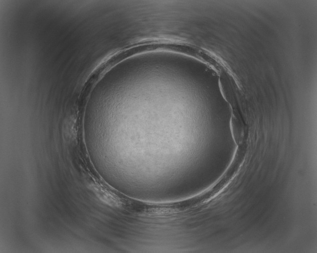 X0000084051163200702232344