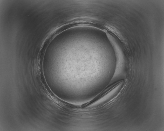 X0000084051164200702232344