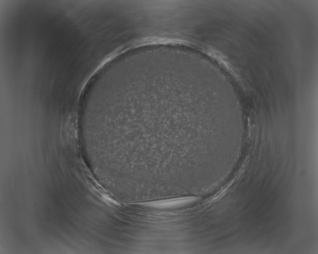 X0000084051165200702232344