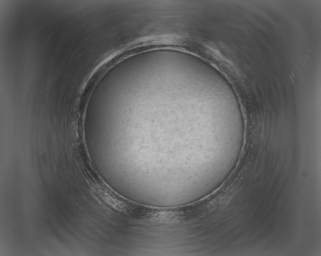 X0000084051166200702232343