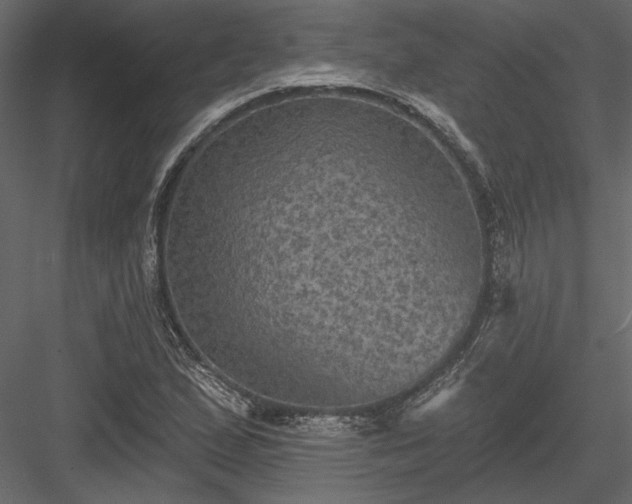 X0000084051167200702232343