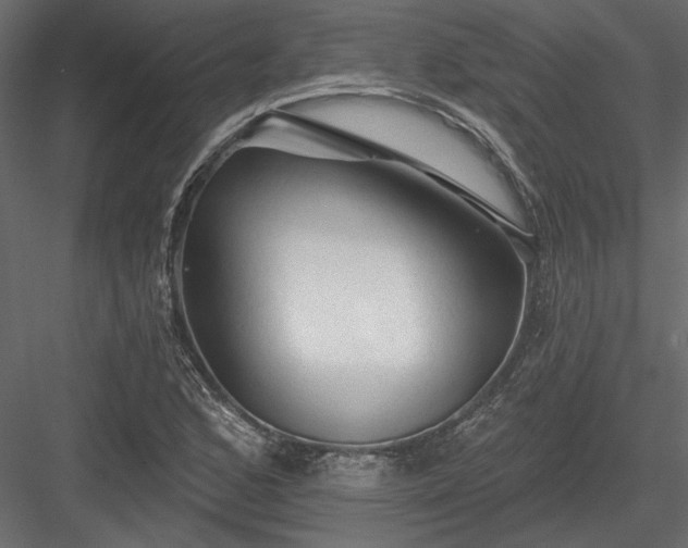 X0000084051168200702232343