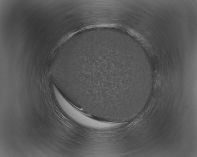 X0000084051169200702232343