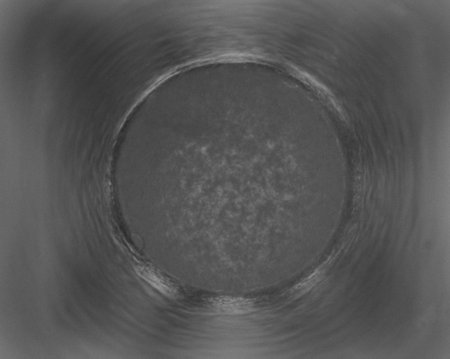 X0000084051170200702232343