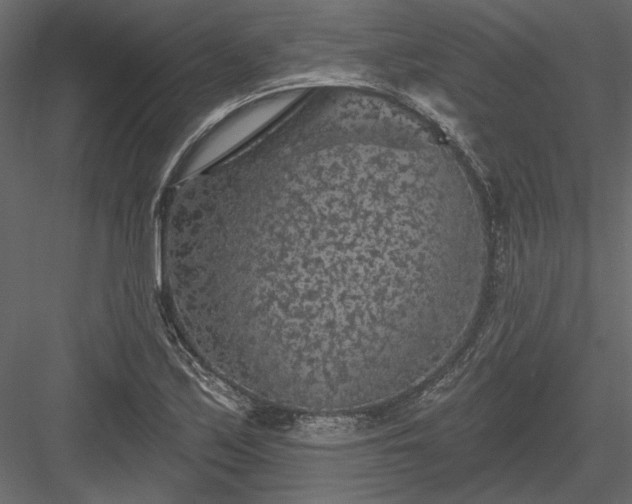 X0000084051171200702232343