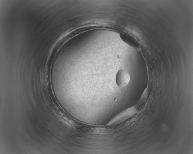 X0000084051172200702232343