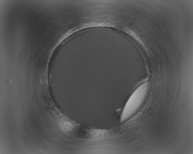 X0000084051173200702232343