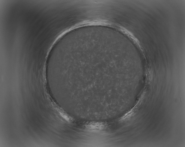 X0000084051174200702232343