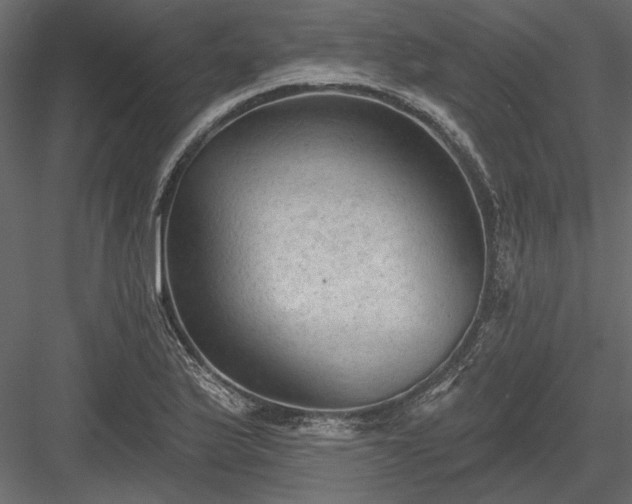 X0000084051175200702232343