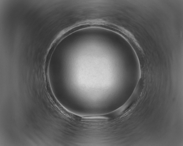 X0000084051176200702232343