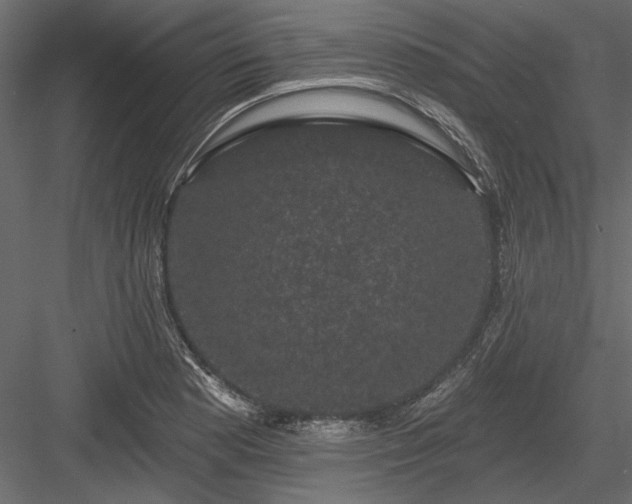 X0000084051177200702232343