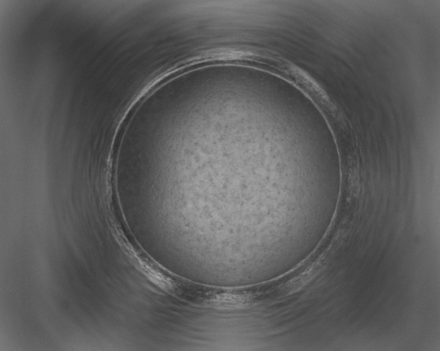 X0000084051178200702232343