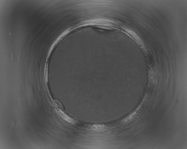 X0000084051180200702232343