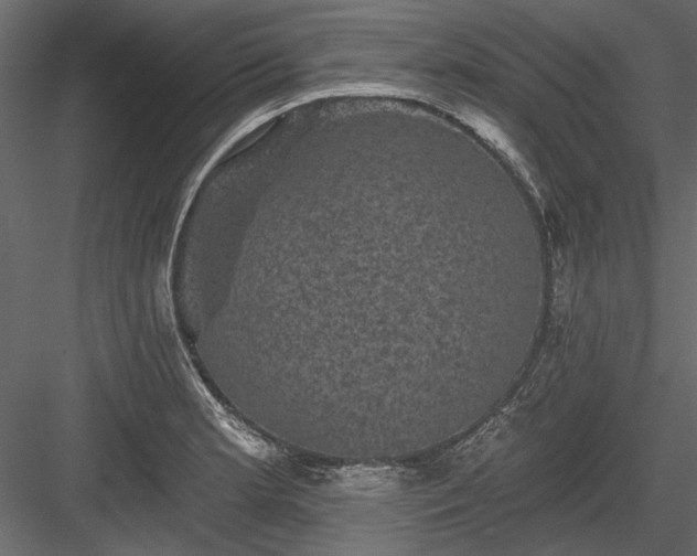 X0000084051181200702232343