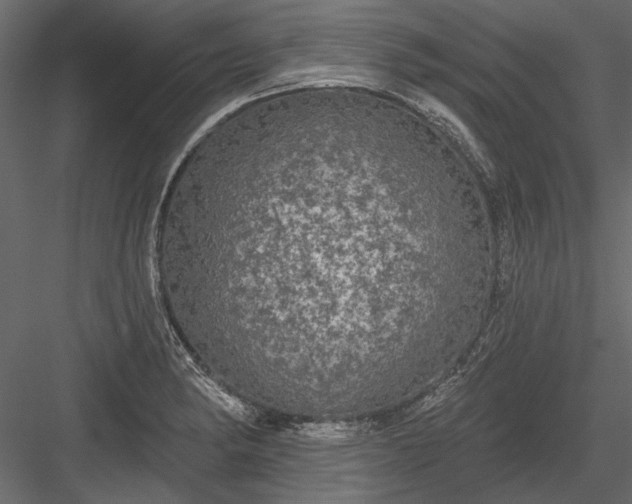 X0000084051182200702232343