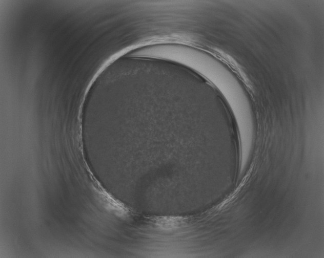 X0000084051184200702232343